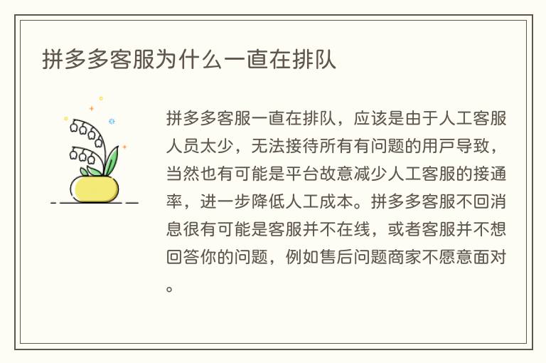 拼多多客服为什么一直在排队(图1) 拼多多客服为什么一直在排队