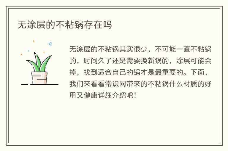 无涂层的不粘锅存在吗(图1) 无涂层的不粘锅存在吗