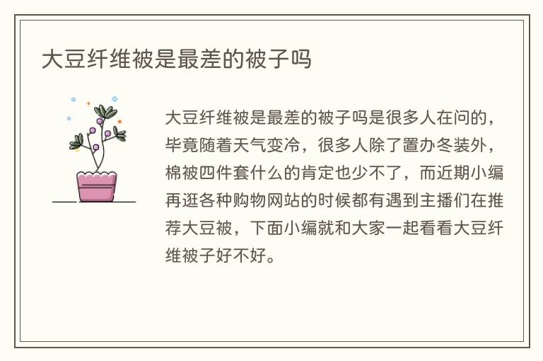 大豆纤维被是最差的被子吗(图1) 大豆纤维被是最差的被子吗