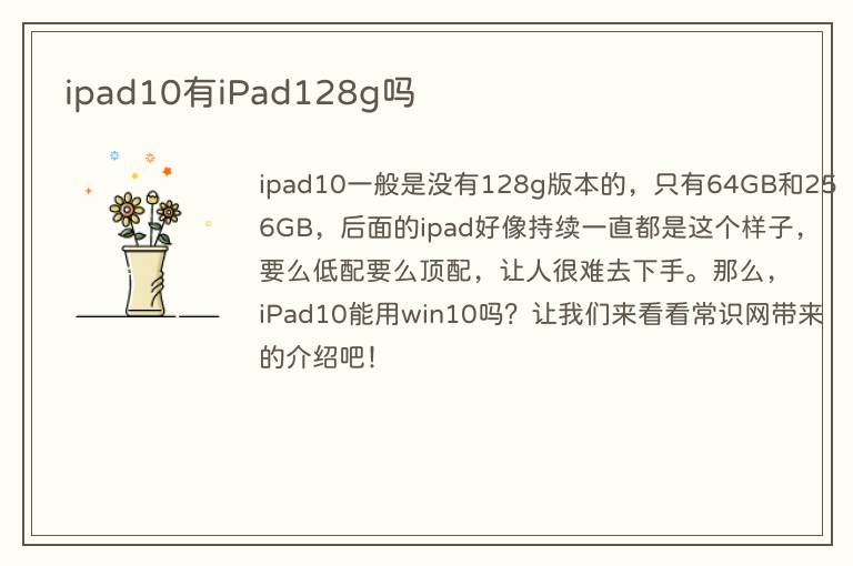 ipad10有iPad128g吗(图1) ipad10有iPad128g吗