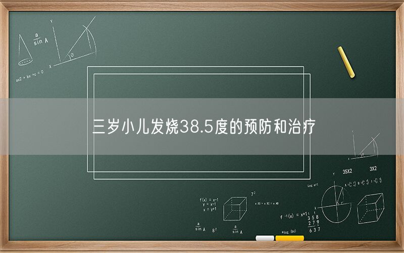 三岁小儿发烧38.5度的预防和治疗(图1) 三岁小儿发烧38.5度的预防和治疗(图1)