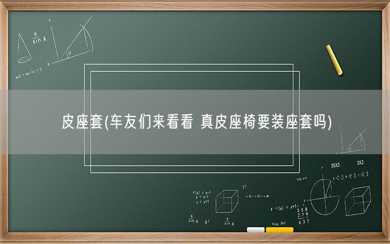 皮座套(车友们来看看 真皮座椅要装座套吗)(图1) 皮座套(车友们来看看 真皮座椅要装座套吗)(图1)