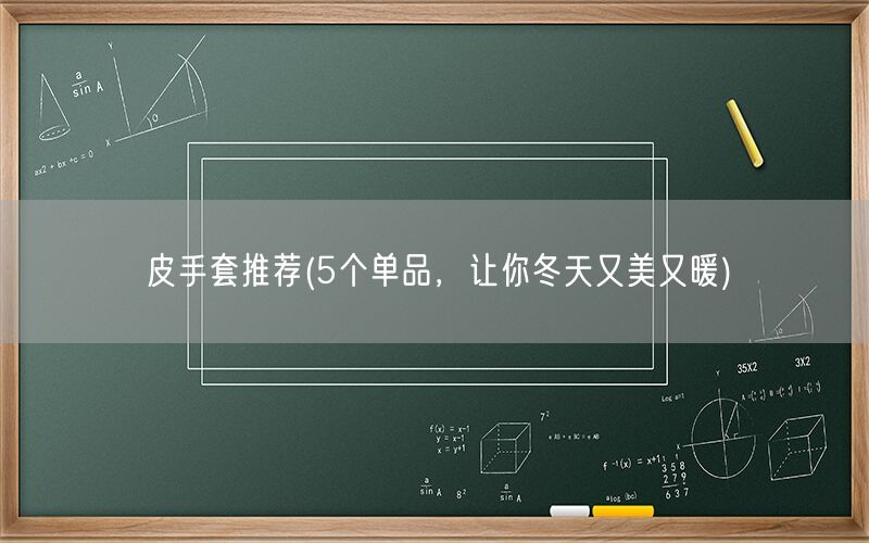 皮手套推荐(5个单品,让你冬天又美又暖)(图1) 皮手套推荐(5个单品,让你冬天又美又暖)(图1)