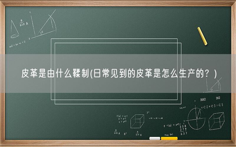 皮革是由什么鞣制(日常见到的皮革是怎么生产的?)(图1) 皮革是由什么鞣制(日常见到的皮革是怎么生产的?)(图1)