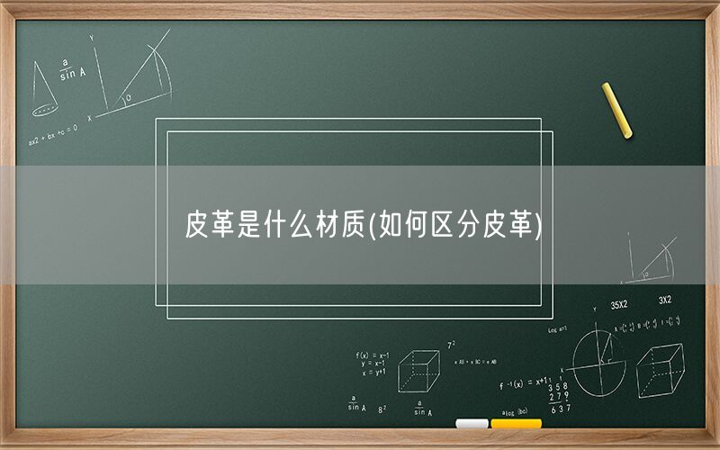 皮革是什么材质(如何区分皮革)(图1) 皮革是什么材质(如何区分皮革)(图1)