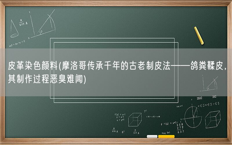 皮革染色颜料(摩洛哥传承千年的古老制皮法——鸽粪鞣皮,其制作过程恶臭难闻)(图1) 皮革染色颜料(摩洛哥传承千年的古老制皮法——鸽粪鞣皮,其制作过程恶臭难闻)(图1)