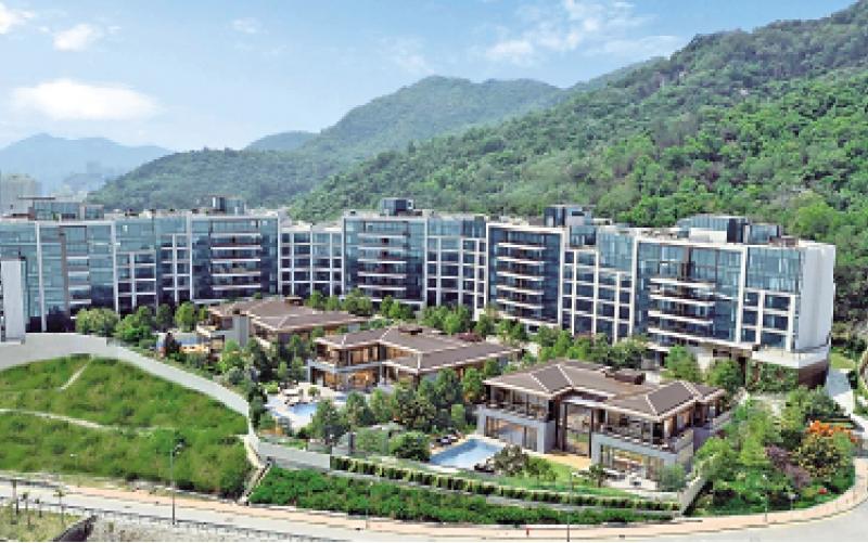 发展商加快推豪宅 缇外4个超大单位招标(图1)