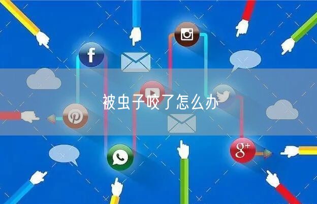 被虫子咬了怎么办(图1) 被虫子咬了怎么办(图1)