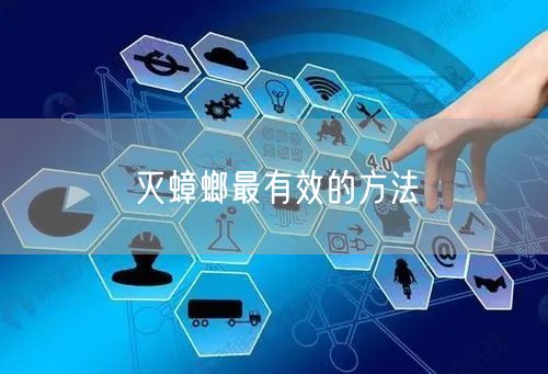 灭蟑螂最有效的方法(图1) 灭蟑螂最有效的方法(图1)