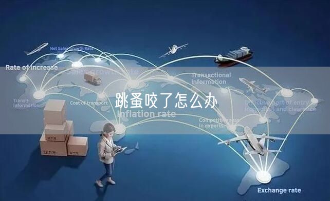 跳蚤咬了怎么办(图1) 跳蚤咬了怎么办(图1)