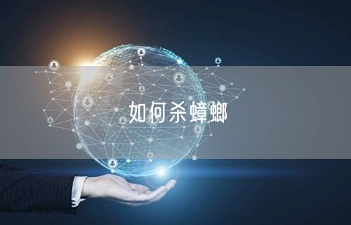 如何杀蟑螂(图1) 如何杀蟑螂(图1)