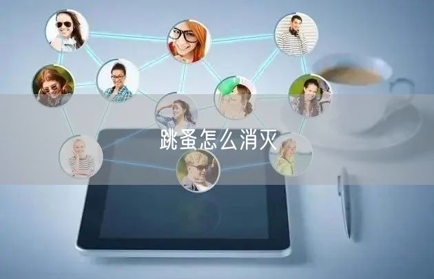 跳蚤怎么消灭(图1) 跳蚤怎么消灭(图1)