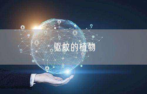 驱蚊的植物(图1) 驱蚊的植物(图1)