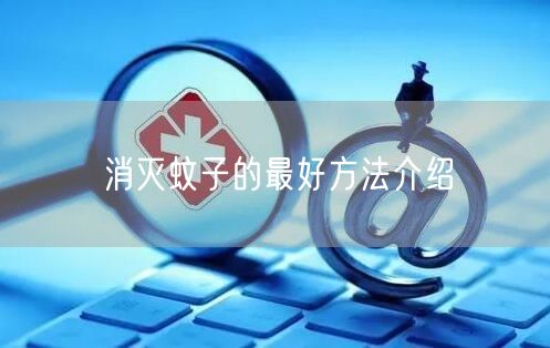消灭蚊子的最好方法介绍(图1) 消灭蚊子的最好方法介绍(图1)