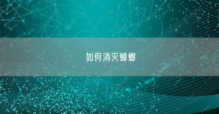 如何消灭蟑螂(图1) 如何消灭蟑螂(图1)