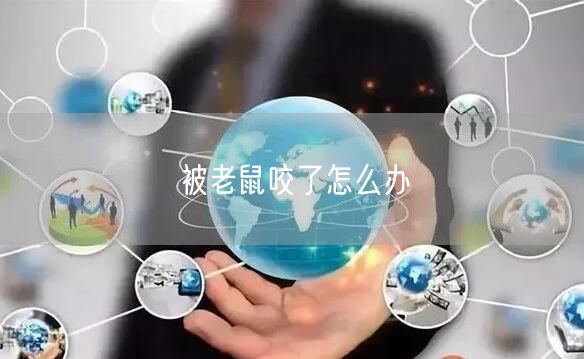 被老鼠咬了怎么办(图1) 被老鼠咬了怎么办(图1)
