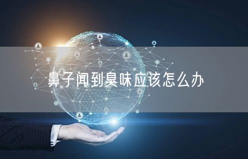 鼻子闻到臭味应该怎么办(图1) 鼻子闻到臭味应该怎么办(图1)