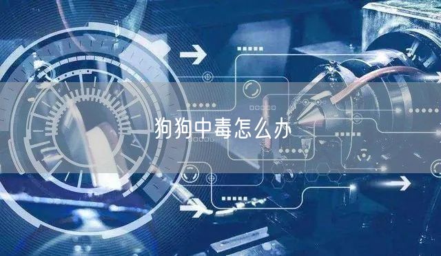 狗狗中毒怎么办(图1) 狗狗中毒怎么办(图1)
