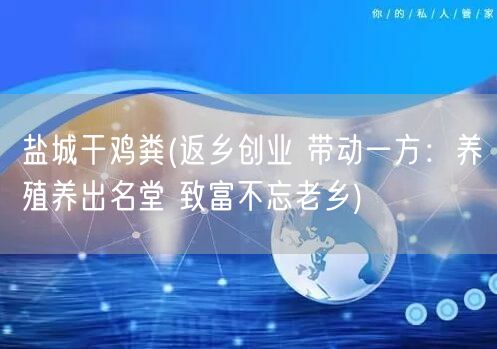 盐城干鸡粪(返乡创业 带动一方:养殖养出名堂 致富不忘老乡)(图1) 盐城干鸡粪(返乡创业 带动一方:养殖养出名堂 致富不忘老乡)(图1)