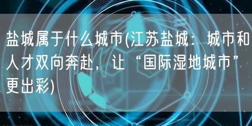 盐城属于什么城市(江苏盐城:城市和人才双向奔赴,让“国际湿地城市”更出彩)(图1) 盐城属于什么城市(江苏盐城:城市和人才双向奔赴,让“国际湿地城市”更出彩)(图1)