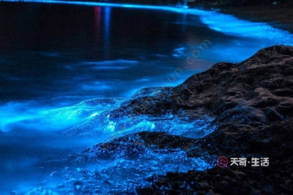 福建除了厦门还有哪里旅行 福建除了厦门可以旅行的地方(图2) 福建除了厦门还有哪里旅行